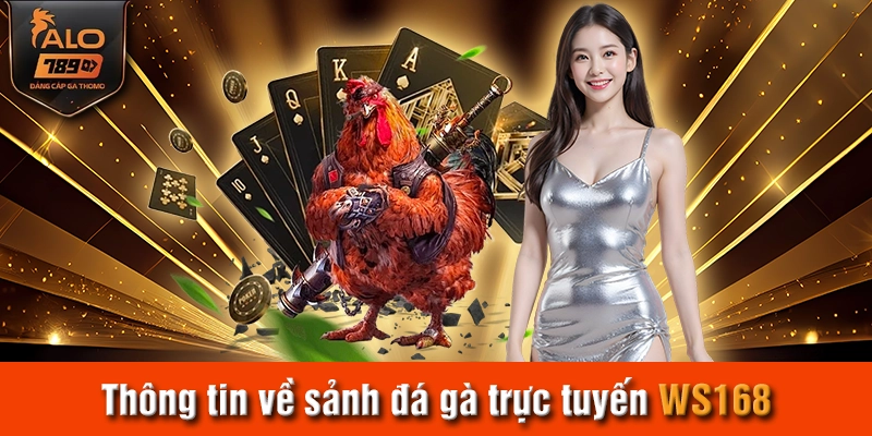 Thông tin về sảnh đá gà trực tuyến WS168